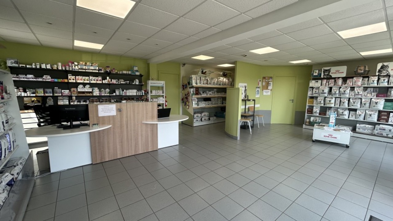 Accueil, salle d'attente & espace de vente